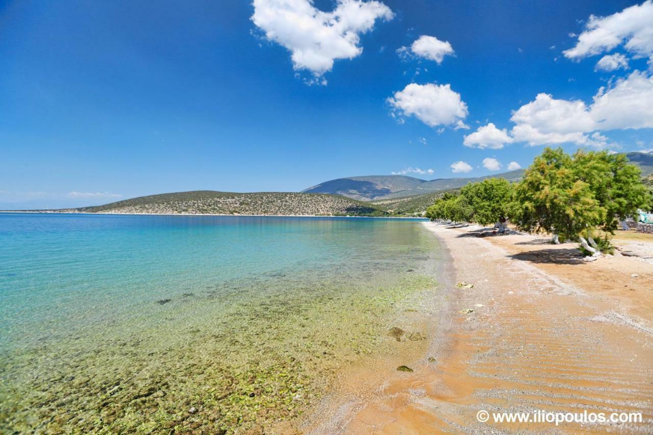 Arilena Studios Paralia  Exterior photo